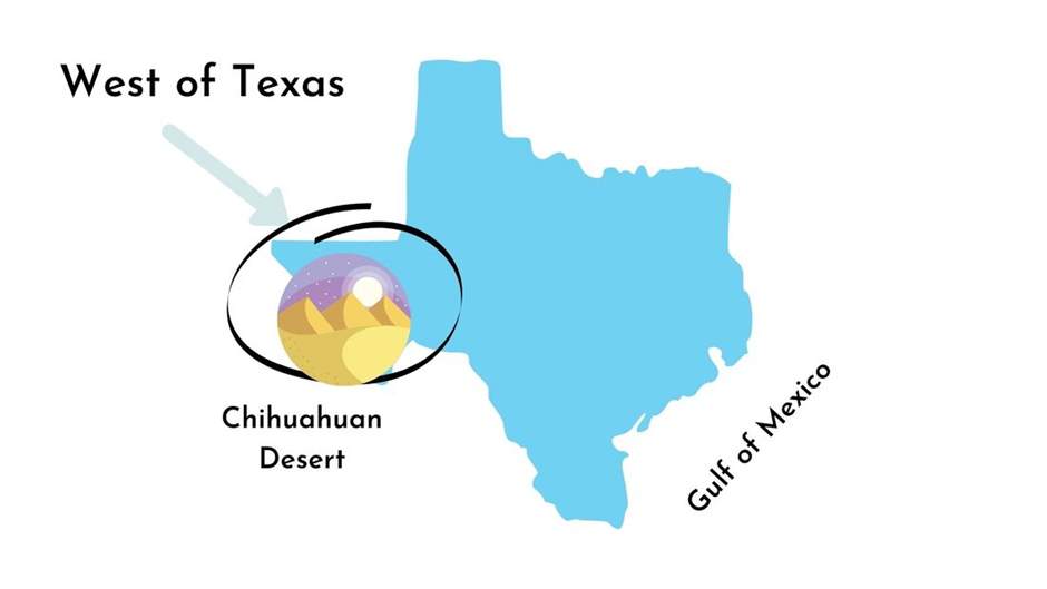 Texas western region is covered with mountain ranges and desert