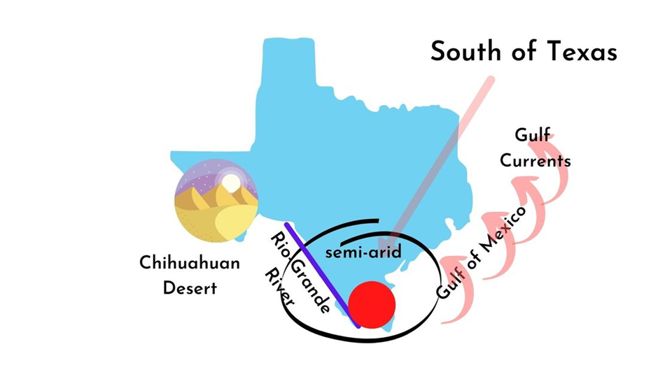 The southern region is humid due to Gulf of Mexico and Rio-Grande river