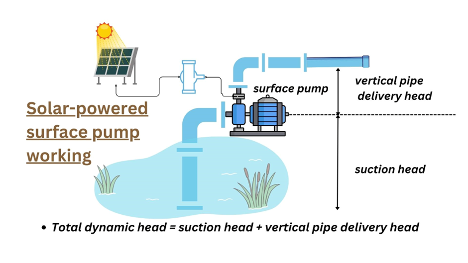 The solar-powered surface water pump.