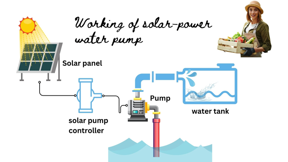 The working of solar powered water pump.