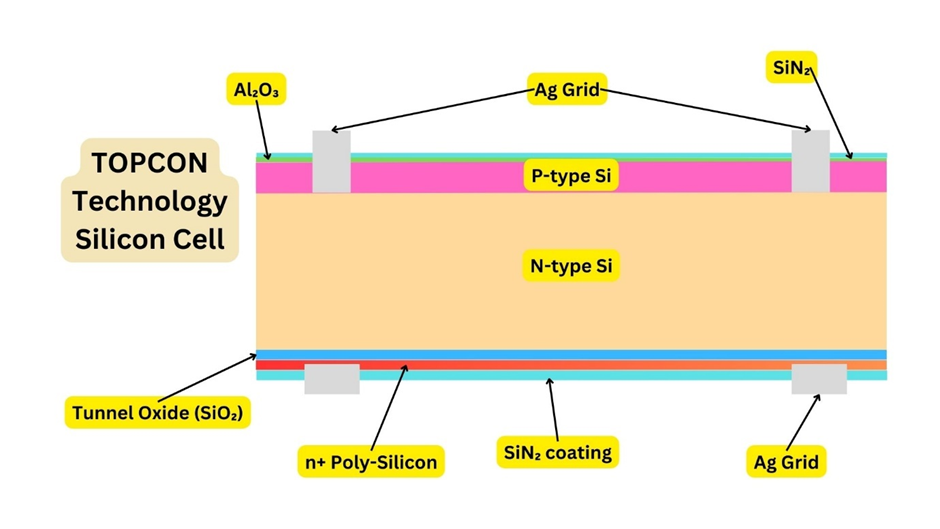 The structure of TOPCON solar cell.