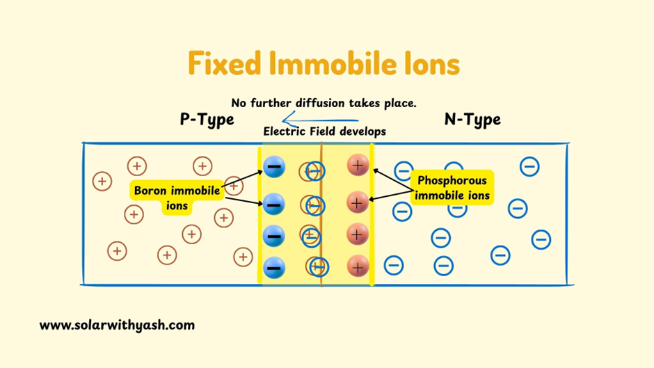 The charged immobile ions are left behind. Solar with Yash.